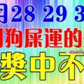 11月28，29，30號，七大生肖踩到「狗屎運」，三番五次大獎中不停