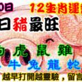 2018年11月30日，星期五農歷十月廿三（戊戌年癸亥月丙寅日）