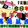 2018年12月15日，星期六農歷十一月初九（戊戌年甲子月辛巳日）