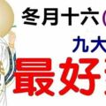 冬至節開始，這九個生肖最最最好運【希望有你】