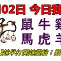 01月02日，今日我最旺！鼠牛雞豬馬虎羊蛇！【22188】越早打開越靈驗！點個讚吧！