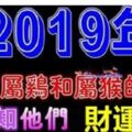 家有屬雞和屬猴的人嗎？恭喜你2019年，財運最旺