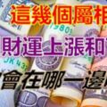 3月財運上漲和下跌的屬相！你會在哪一邊呢？