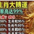 9大生肖大轉運，中獎率直線攀升！