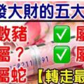 4月最容易發大財的幾大生肖，有你嗎？（轉走最靈！）