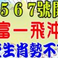 5月5，6，7號開始，這些生肖勢不可檔，財富一飛沖天