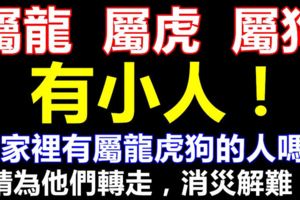 你家裡有屬龍虎狗的人嗎？請轉告他們，未來5天有小人！