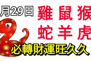 5月29日！生肖雞、鼠、猴​、蛇、羊、虎！財運旺久久！