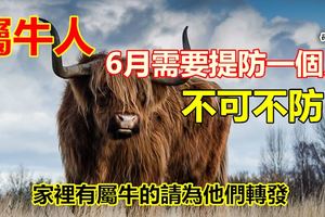 屬牛人:6月需要提防一個人，不可不防！別不信