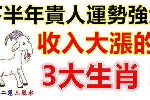 下半年貴人運勢強大，收入大漲的3大生肖！