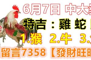 6月7日雞、蛇、鼠、猴、牛、兔！中大獎！請留言7358【發財旺旺】