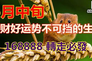 6月中旬橫財好運勢不可擋的生肖168888轉走必發