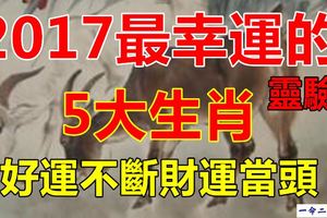 2017最幸運的5大生肖，好運不斷財運當頭！