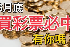 6月底，買彩票必中的生肖，有你嗎？