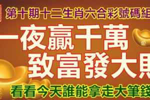 第十期十二生肖六合彩號碼組合。一夜贏千萬，致富發大財。看看今天誰能拿走大筆錢！