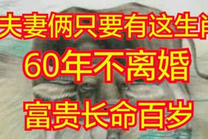 夫妻倆只要有啥生肖，60年不離婚，富貴長命百歲！