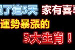 過了這5天，家有喜事，運勢暴漲的3大生肖！