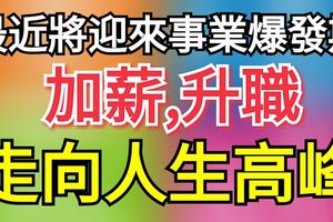 這三大生肖最近將迎來事業爆發期，加薪、升職，走向人生高峰！