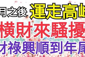 運走高峰！7月之後，橫財來騷擾的生肖，財祿興順到年尾