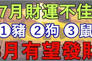 7月財運不佳，8月有望發財的生肖豬狗鼠