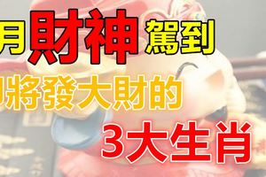 8月財神駕到，即將發大財的3大生肖！