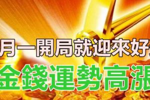 8月一開局就迎來好運，金錢運勢高漲的生肖！