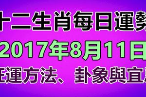 十二生肖每日運勢2017年8月11日旺運方法、卦象與宜忌