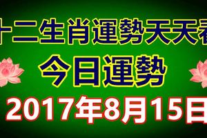 十二生肖運勢天天看，今日運勢：2017年8月15日