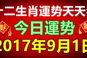 十二生肖運勢天天看，今日運勢：9月1日