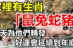 家裡有生肖「鼠兔蛇豬」的，今天為他們轉發，好運會延續到年底！