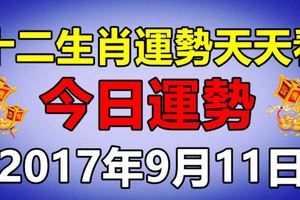 十二生肖運勢天天看，明日運勢：9月11日