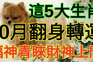 10月翻身轉運，福神青睞財神上門，5大生肖生活步步高升！