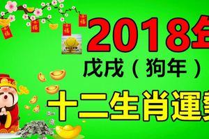 2018年十二生肖運勢