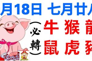 9月18日（農曆七月廿八），生肖牛、猴、龍、鼠、虎、豬！好運旺到底！