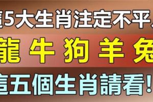 這5大生肖註定不平凡，生肖龍，生肖牛，生肖狗，生肖羊，生肖兔…這五個生肖請看!!!