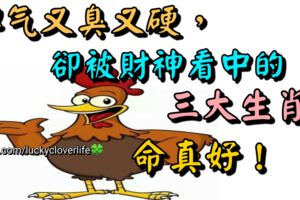 脾氣又臭又硬，卻被財神看中的三大生肖，命真好！