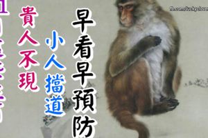 11月這些生肖貴人不現、小人擋道，早看早預防