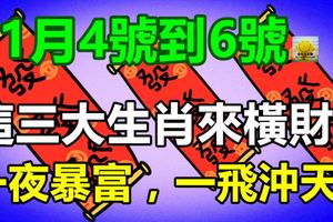 11月4號到6號，這三大生肖來橫財運，一夜暴富，一飛沖天！