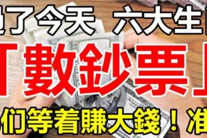 過了今天，這6大生肖就等著「數鈔票」，開始賺大錢，走大運！