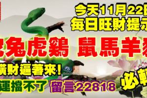 今天11月22日,每日旺財提示：蛇兔虎雞，鼠馬羊豬。橫財逼著來！財運擋不了留言22818必轉！