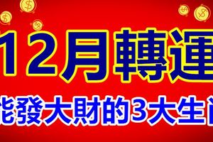 12月轉運，能發大財的3大生肖！