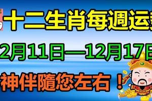 十二生肖每週運勢【12月11日—12月17日】，財神伴隨您左右！