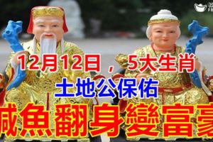 12月12日，土地公保佑，註定大發一筆橫財，鈔票堆成山，鹹魚翻身變富豪的5生肖