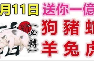 1月11日生肖運勢_狗、豬、蛇大吉