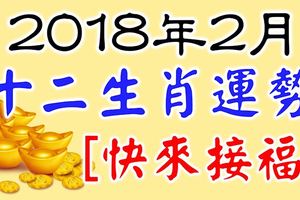 2018年2月十二生肖運程鼠牛虎兔龍馬羊雞狗【快來接福】