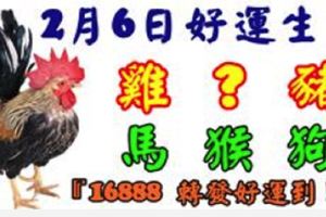 2月6日好運生肖，五福臨門接財神！【雞+？+豬+馬+猴+狗】『上榜請留言16888轉發好運到！』