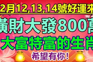 2月12,13,14號好運來，財運逆天，橫財大發800萬，大富特富的生肖