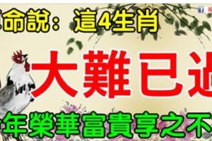 算命說：這4生肖大難已過，2018年左右逢源，榮華富貴享之不盡！