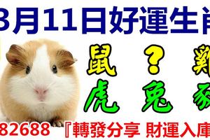 3月11日好運生肖，喜從天降迎好運！【鼠+？+雞+虎+兔+豬】『轉發分享財運入庫』