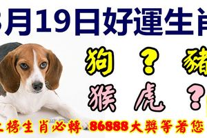 3月19日好運生肖，福氣降臨全家福！【狗+？+豬+猴+虎+？】『上榜生肖必轉86888大獎等著您！』